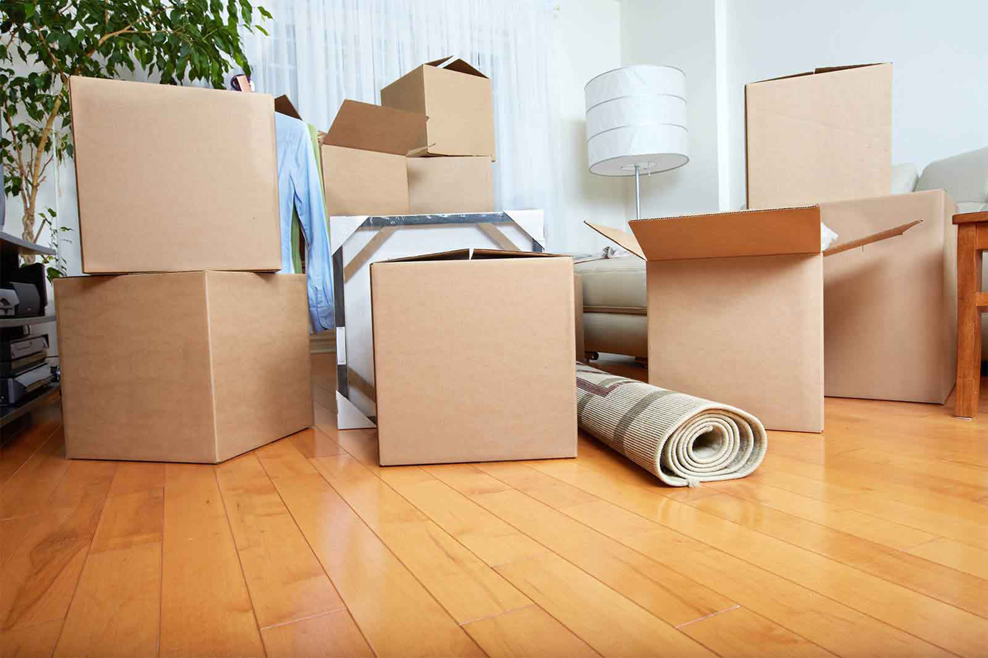 Why You Should Rely On Professional House Movers In Melbourne For Small Moves