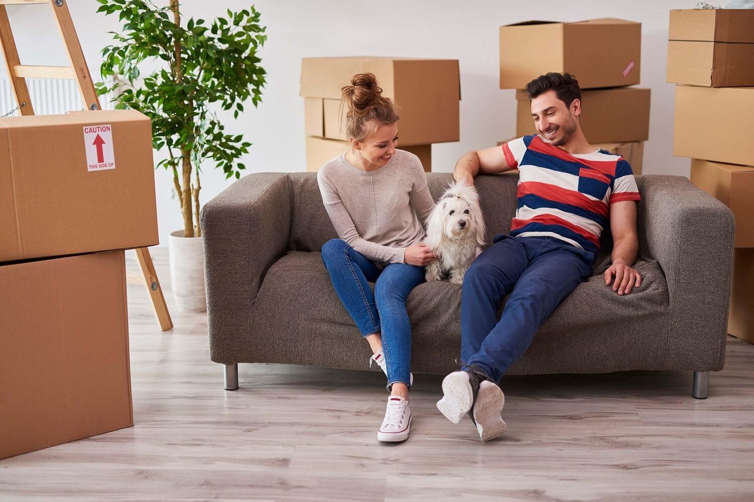 3 Reasons to Hire a Removalist for Your Next Move