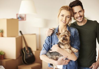 4 Tips for Moving House with Pets