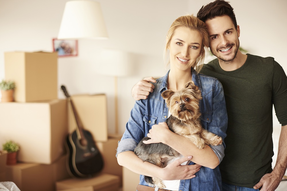 4 Tips for Moving House with Pets